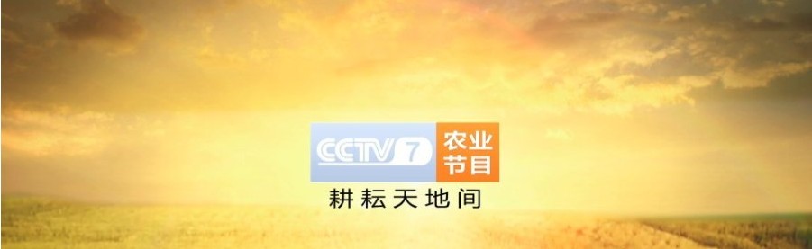 CCTV7王牌栏目《致富经》电视广告