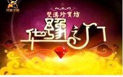 河南卫视大型综艺文化益智类节目《华豫之门》