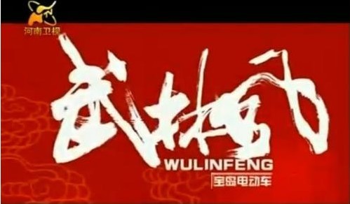 河南卫视大型武术娱乐王牌栏目《武林风》