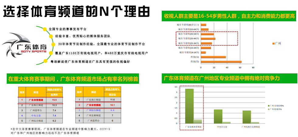收入证明_广东电视台广告收入(3)